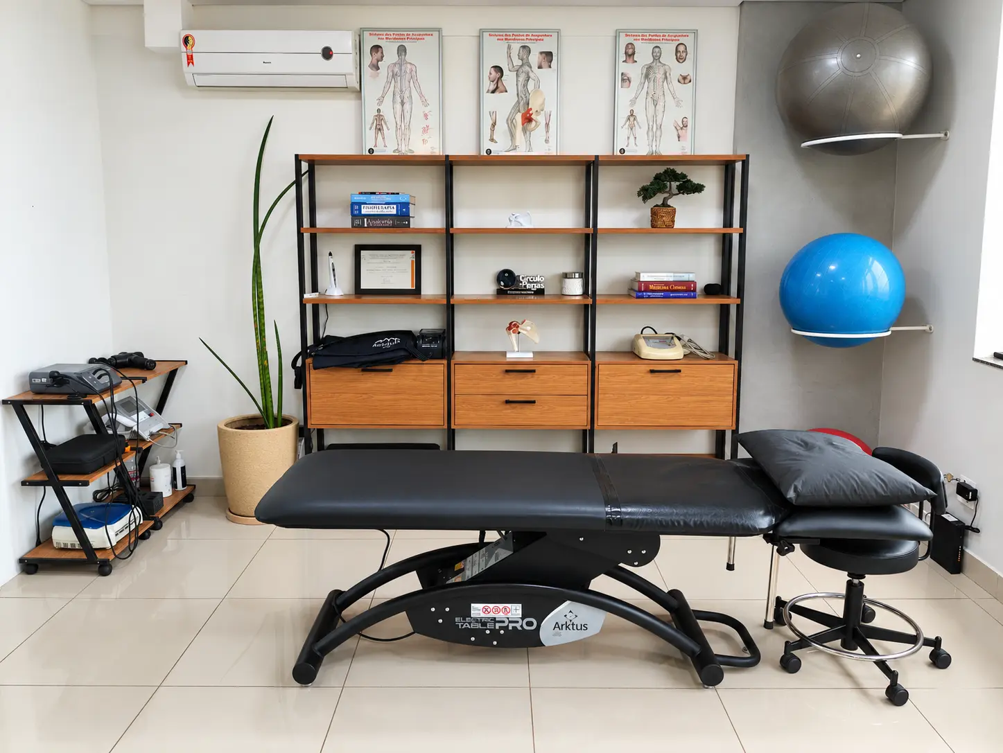 Sala de fisioterapia com maca preta, estantes de madeira, modelos anatômicos e equipamentos de atendimento.
